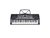 ORGANO TECLADO MUSICAL 61 TECLAS MK2089 en internet