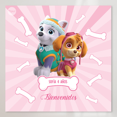 Kit imprimible patrulla de cachorros paw patrol nena candy bar