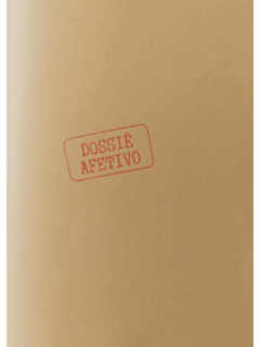 Dossiê Afetivo