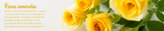 Banner da categoria Rosas Amarelas