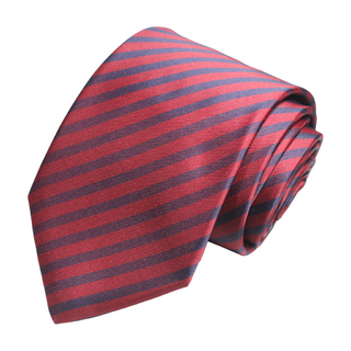 CLASSIC PROFESSIONAL TIE - 8 CM DE PALA