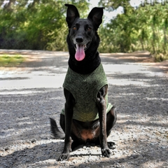 Polera tejida para perros grandes - tienda online