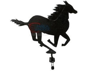 Cavalo do vento