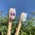 Cepillo de dientes de bambú - comprar online