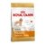 ROYAL CANIN POODLE ADULT 1.5 KG