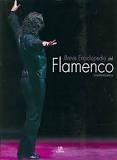 Breve Enciclopedia del Flamenco - José María Esteban - Libro