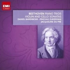 Jacqueline du Pré / Daniel Barenboim / Pinchas Zukerman - Beethoven - Piano Trios - Violin and Cello Sonatas (9 CDs)