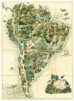 Mapas - Explorando el mundo - Libro en internet