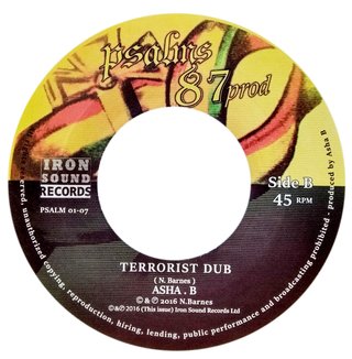 7" Asha B & Alien Dread - Terrorist/Terrorist Dub [M] - comprar online