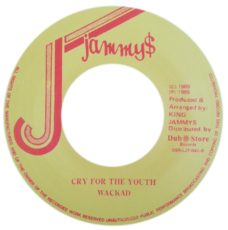 7" Wailing Souls/Wackad - Move On/Cry For The Youth [NM] - comprar online