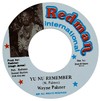 7" Wayne Palmer - Yu Nu Remember/Version [NM]