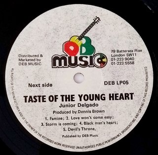 LP Junior Delgado - Taste Of The Young Heart (Original UK Press) [VG+] - Subcultura