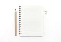 CUADERNO GRANDE VERTICAL RAYADO #05 - comprar online