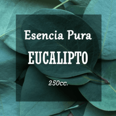 Esencia Pura «Eucalipto» x250cc.