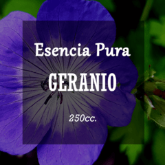 Esencia Pura «Geranio» x250cc.