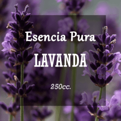 Esencia Pura «Lavanda» x250cc.