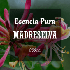 Esencia Pura «Madreselva» x250cc.