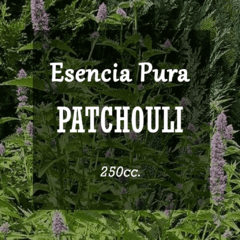 Esencia Pura «Patchouli» x250cc.