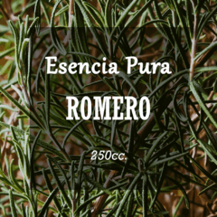 Esencia Pura «Romero» x250cc.