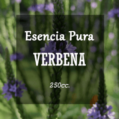 Esencia Pura «Verbena» x250cc.
