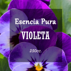 Esencia Pura «Violeta» x250cc.