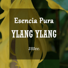 Esencia Pura «Ylang» x250cc.