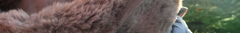 Banner de la categoría Camperas