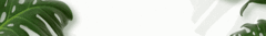 Banner de la categoría SALE