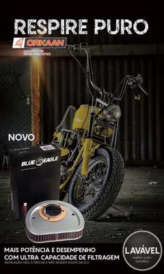 FILTRO DE AR BLUE EAGLE ORKAAN (HARLEY DAVIDSON LINHA DYNA) - comprar online