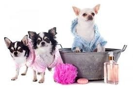 PERFUME * LOCION MARCA OSSPRET PARA PERROS Y GATOS POR 130 cc. FRAGANCIA BEBE - TODOPELUQUERIAS