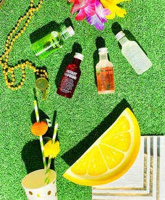 COMBO PICNIC ABSOLUT