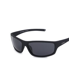Óculos De Sol Masculino Polarizado 20/20* Pl66 - comprar online