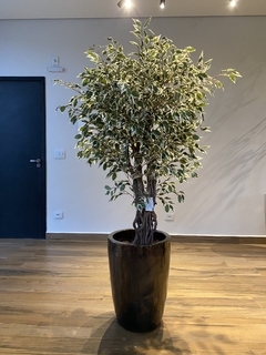 Imagem do Ficus artificial - 1,50 Metros