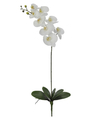 ORQUIDEA PHALAENOPSIS SILICONADA ARTIFICIAL (BRANCO) 75cm - comprar online