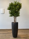 Dracena artificial 1,20 metros