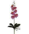 orquídea permanente 45cm (Rosa)