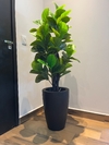 Ficus lyrata artificial 1,30 metros