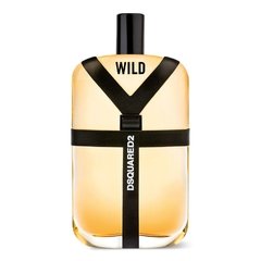 Wild de DSQUARED Masculino - Decant