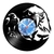Relógio De Parede - Disco de Vinil - Animais - Águia Americana - VAN-186