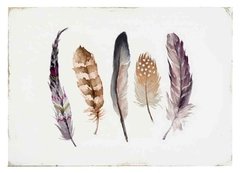 (324) 5 PLUMAS - EMOTY Wall Deco