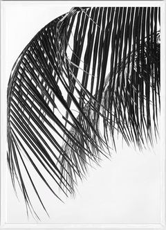 DUO PALMERA - EMOTY Wall Deco