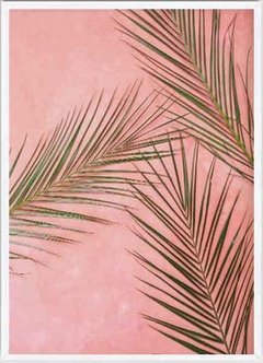 (506) PALMERA ROSA - comprar online