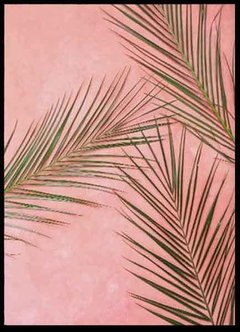 (506) PALMERA ROSA