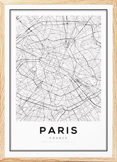 (721) MAPA PARIS en internet