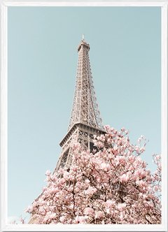 (756) TORRE PARIS en internet