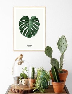 (132) MONSTERA DIBUJO - EMOTY Wall Deco