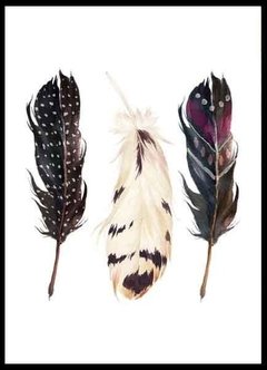 (211) TRES PLUMAS 2 - comprar online