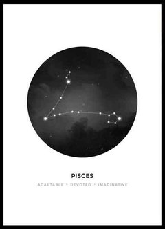 (215) PICSIS - comprar online