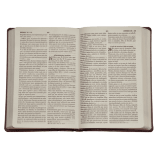 Bíblia Sagrada com Salmos e Hinos - Grande - MEBP