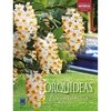 ORQUÍDEAS DENDROBIUM